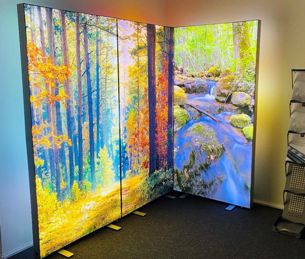 LightUp showroom 2 _3_