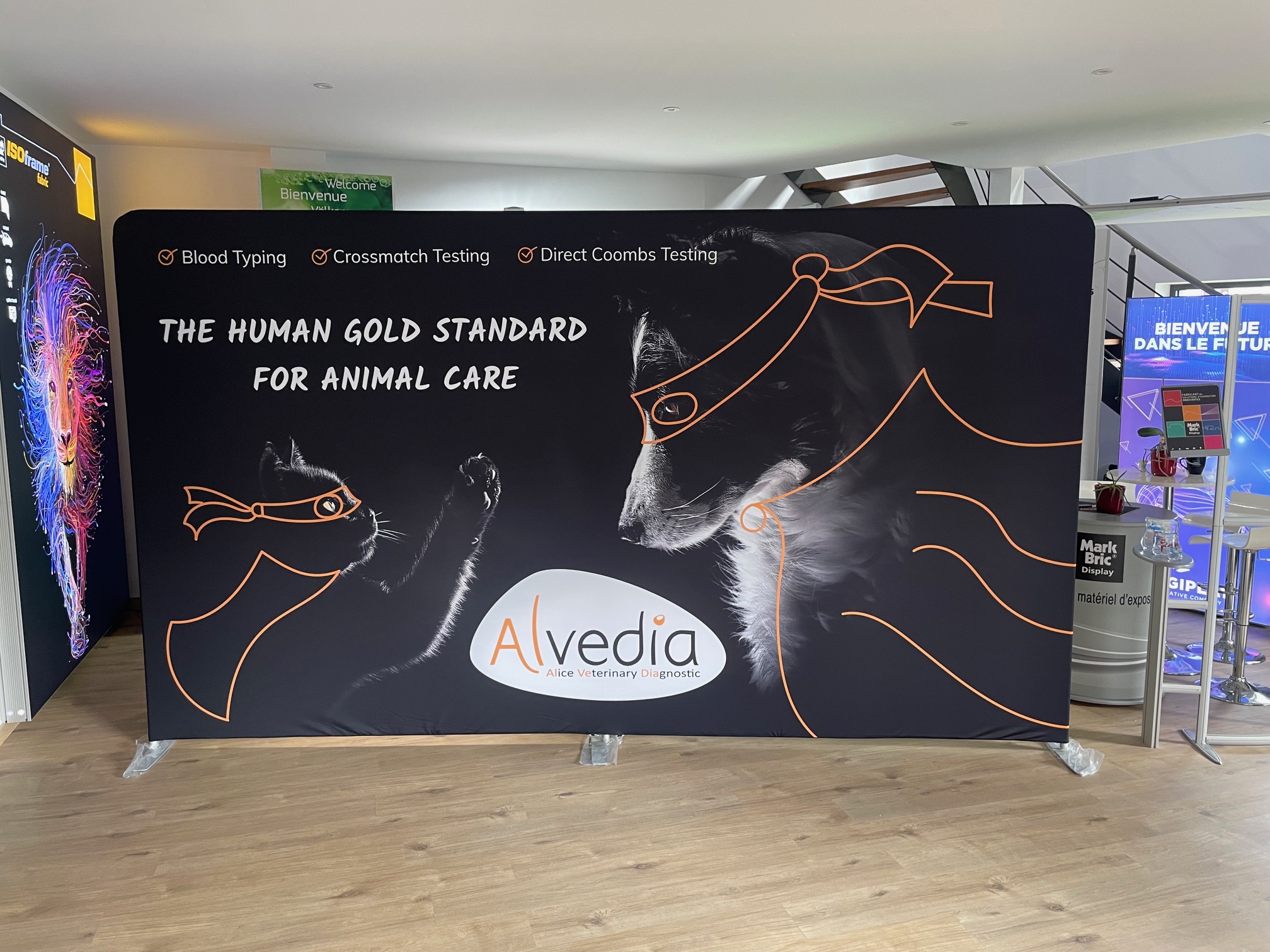 PillowCase 400×230 – Alvedia